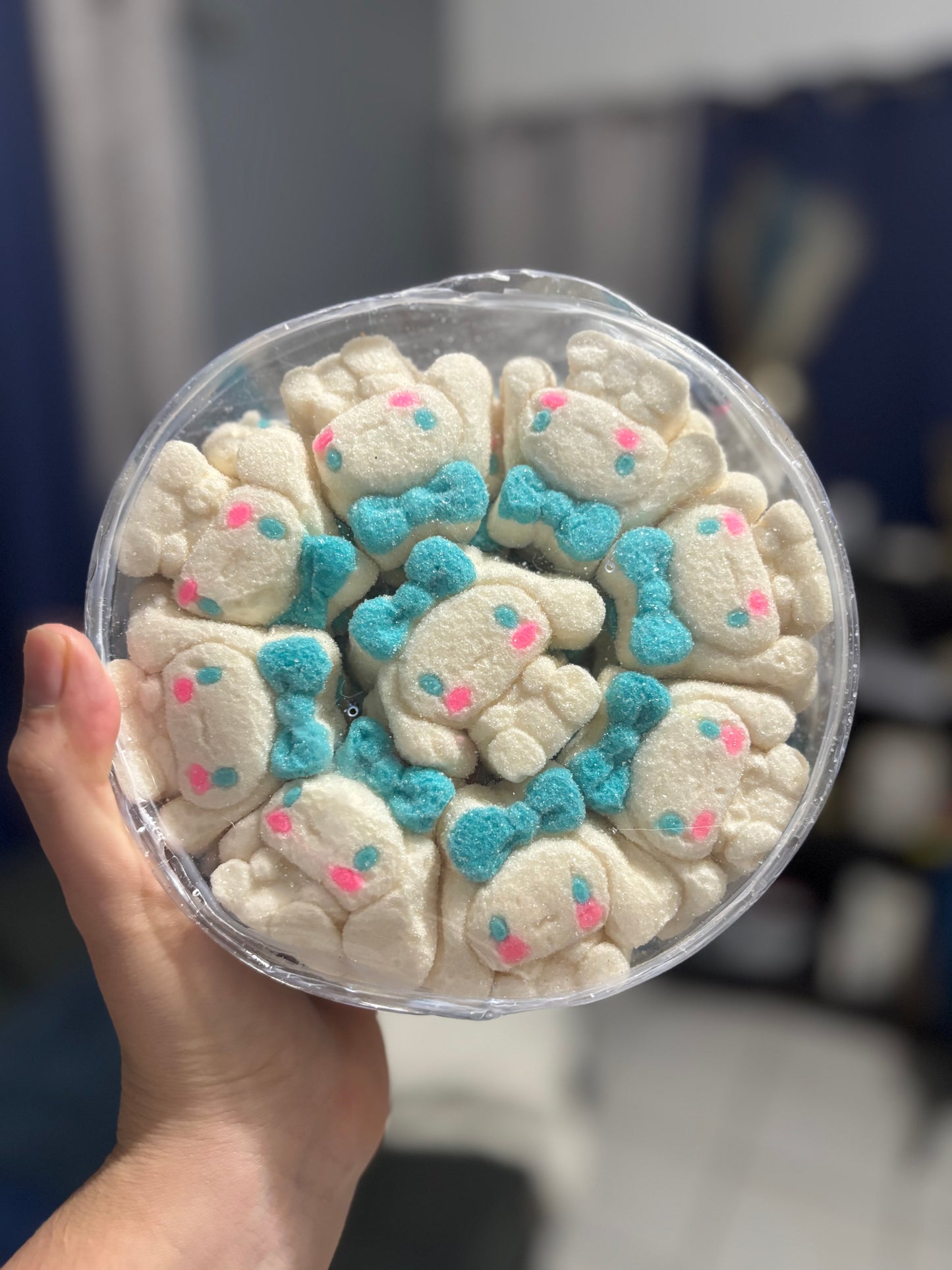 Bombones Cinnamon Roll 🩵