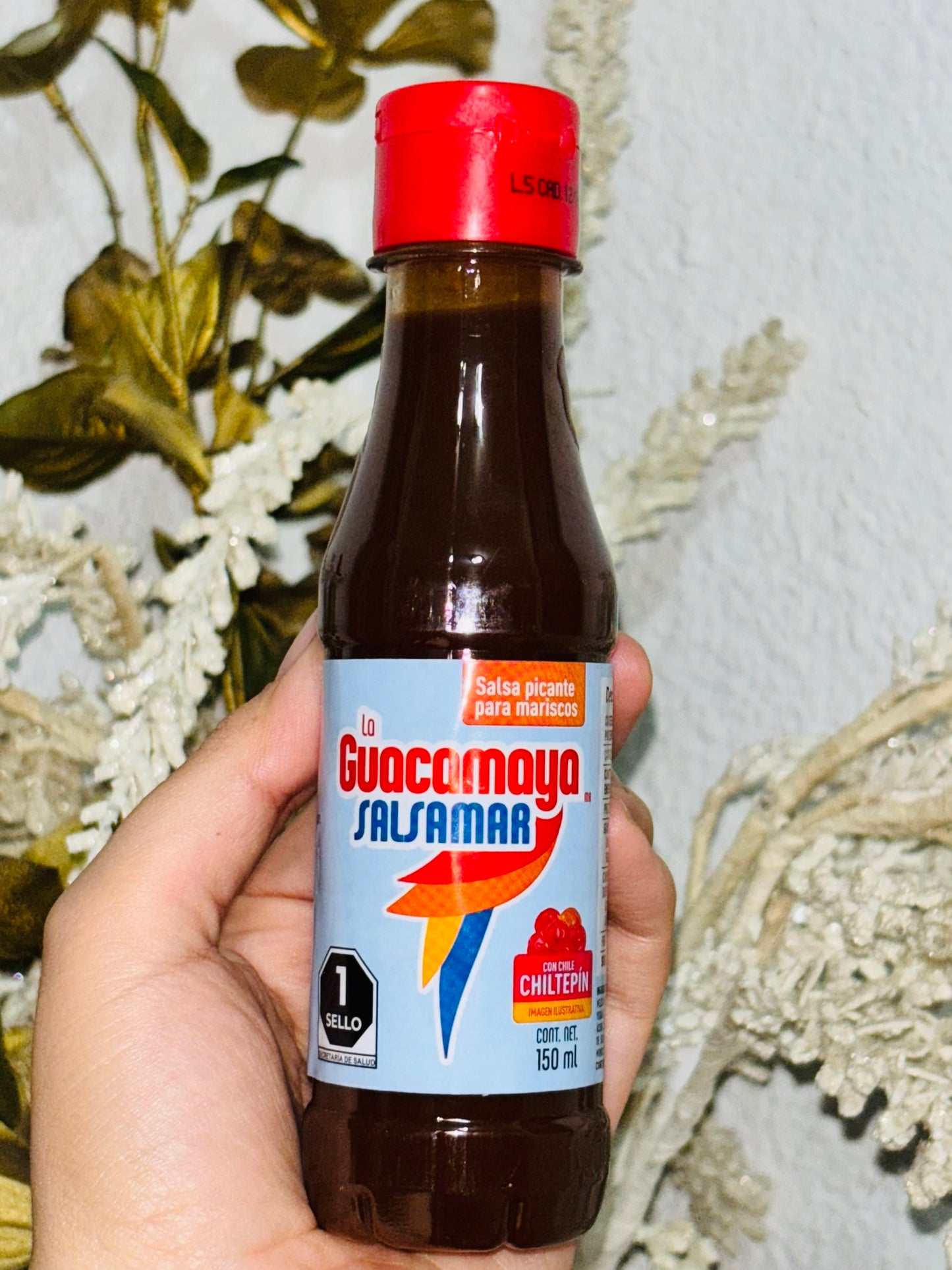 Salsamar La Guacamaya