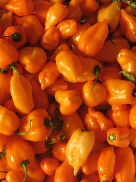 Salsa BBQ con habanero “Hunts”