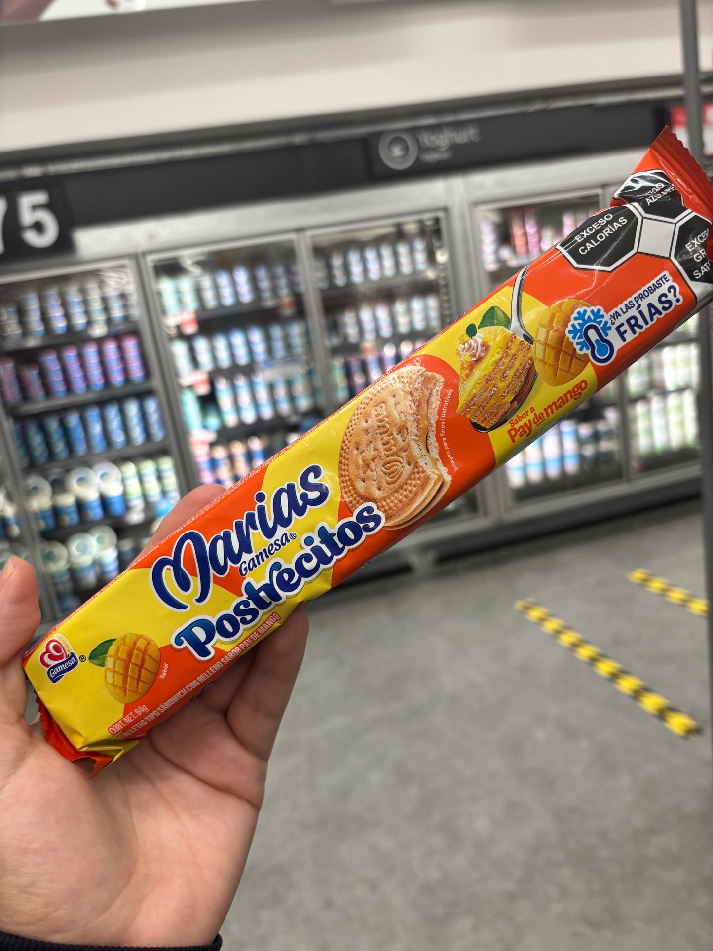 Marias Postrecitos 🥭🍋‍🟩