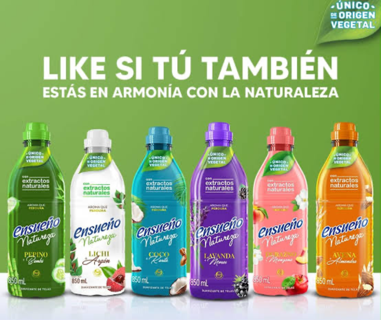 Ensueño Natureza