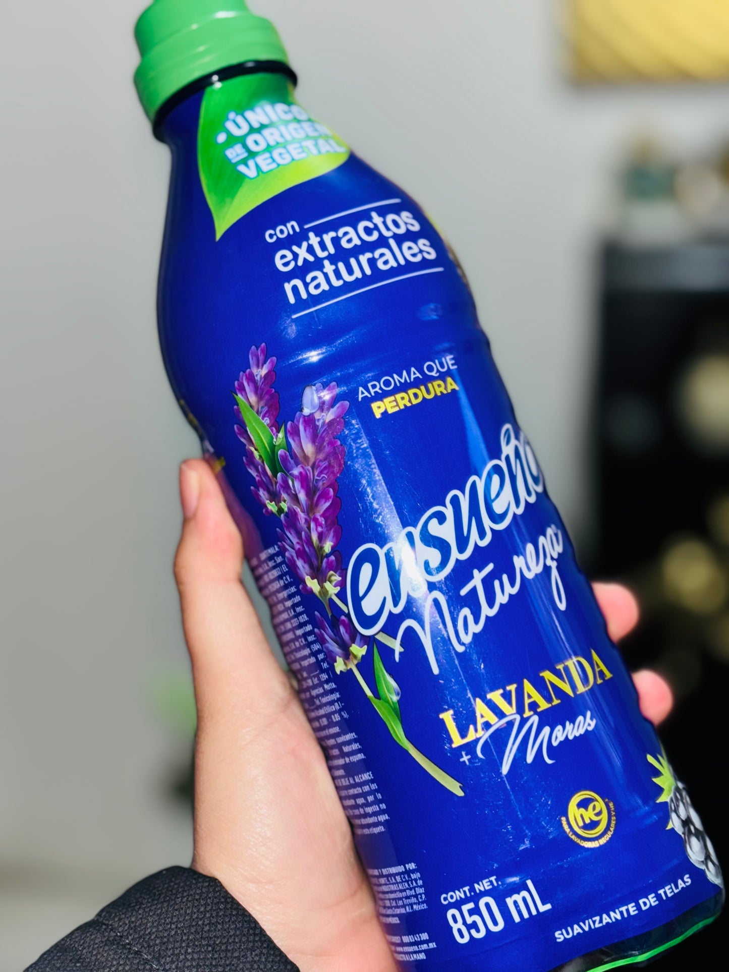Ensueño Natureza