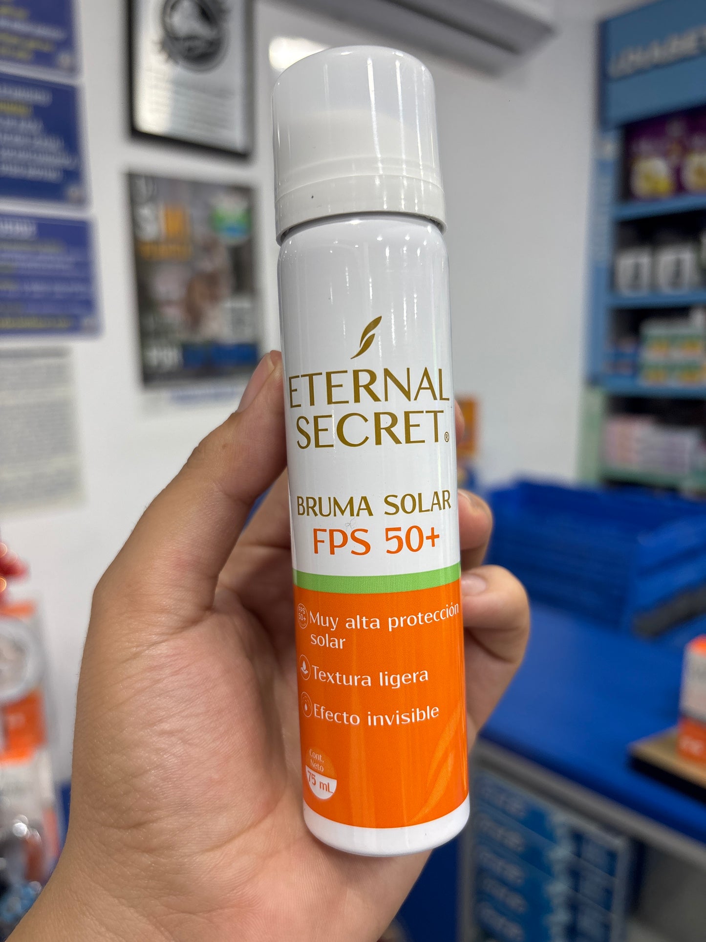 BLOQUEADOR BRUMA AEROSOL FPS50+ 75ML ETERNAL