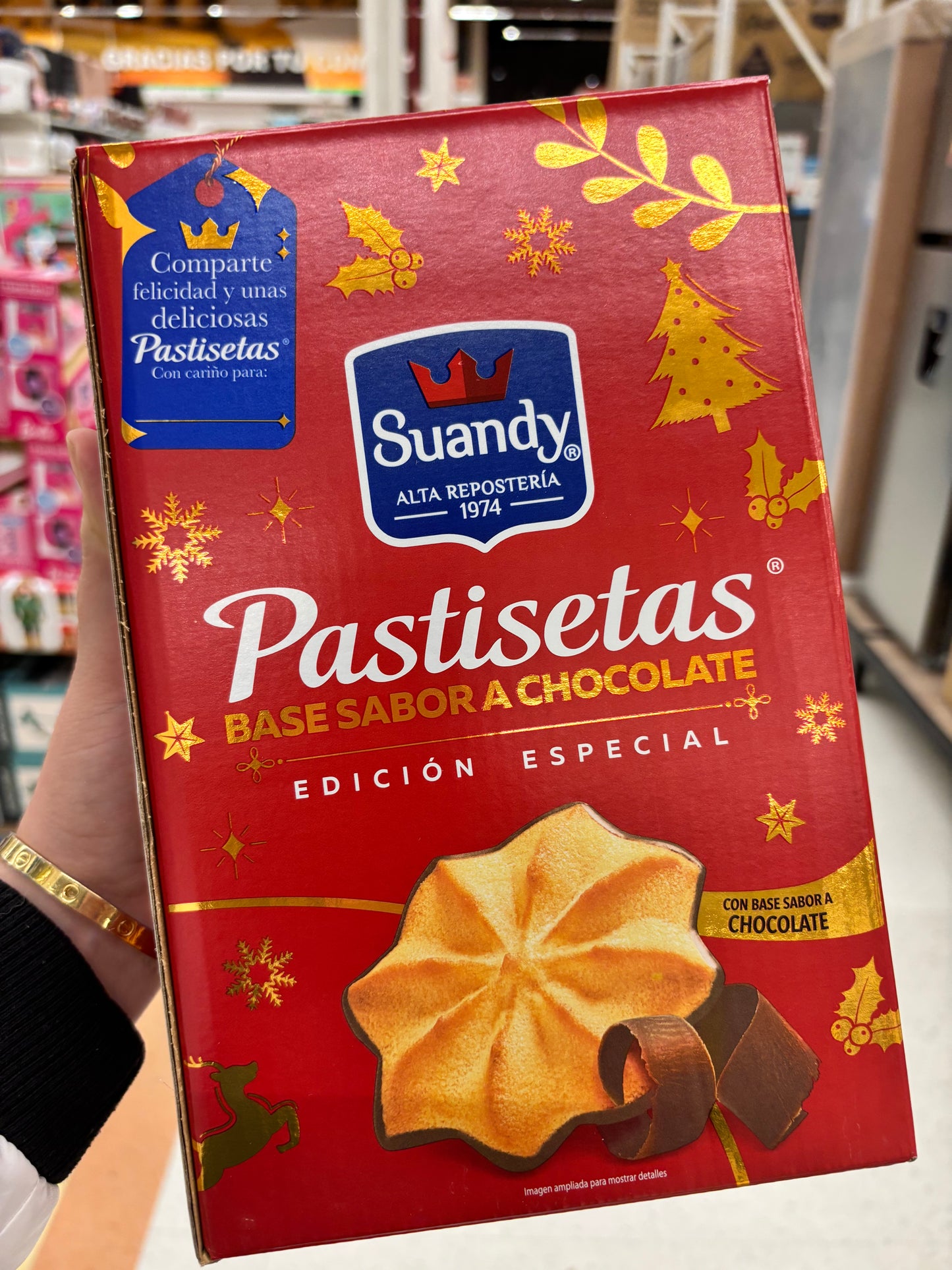 Pastisetas Base de Chocolate ✨ Edición Especial