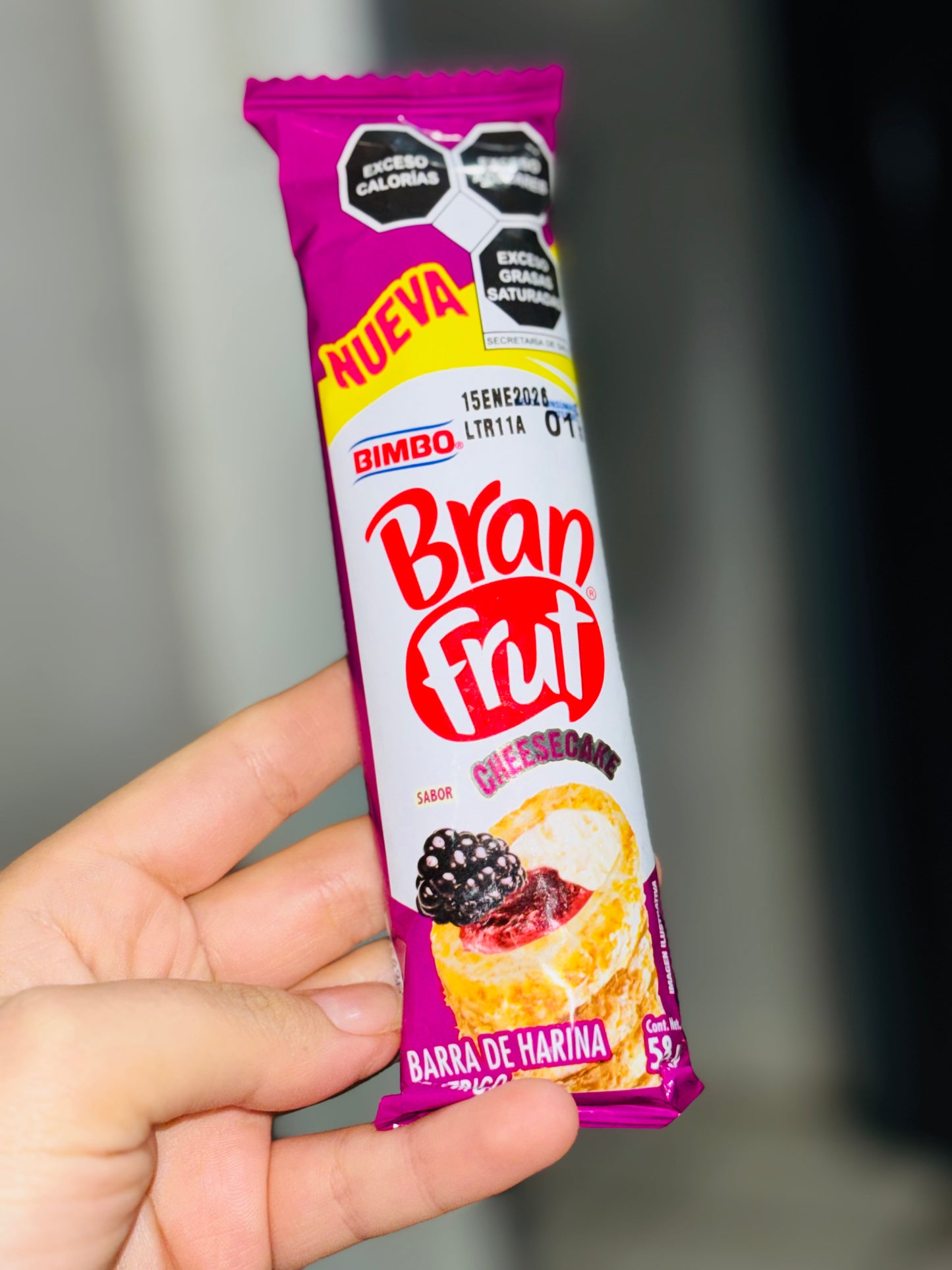 Bran frut Cheesecake