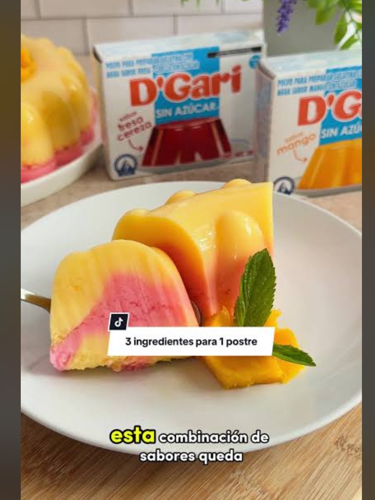 Gelatina Sin Azucar “D’Gari”