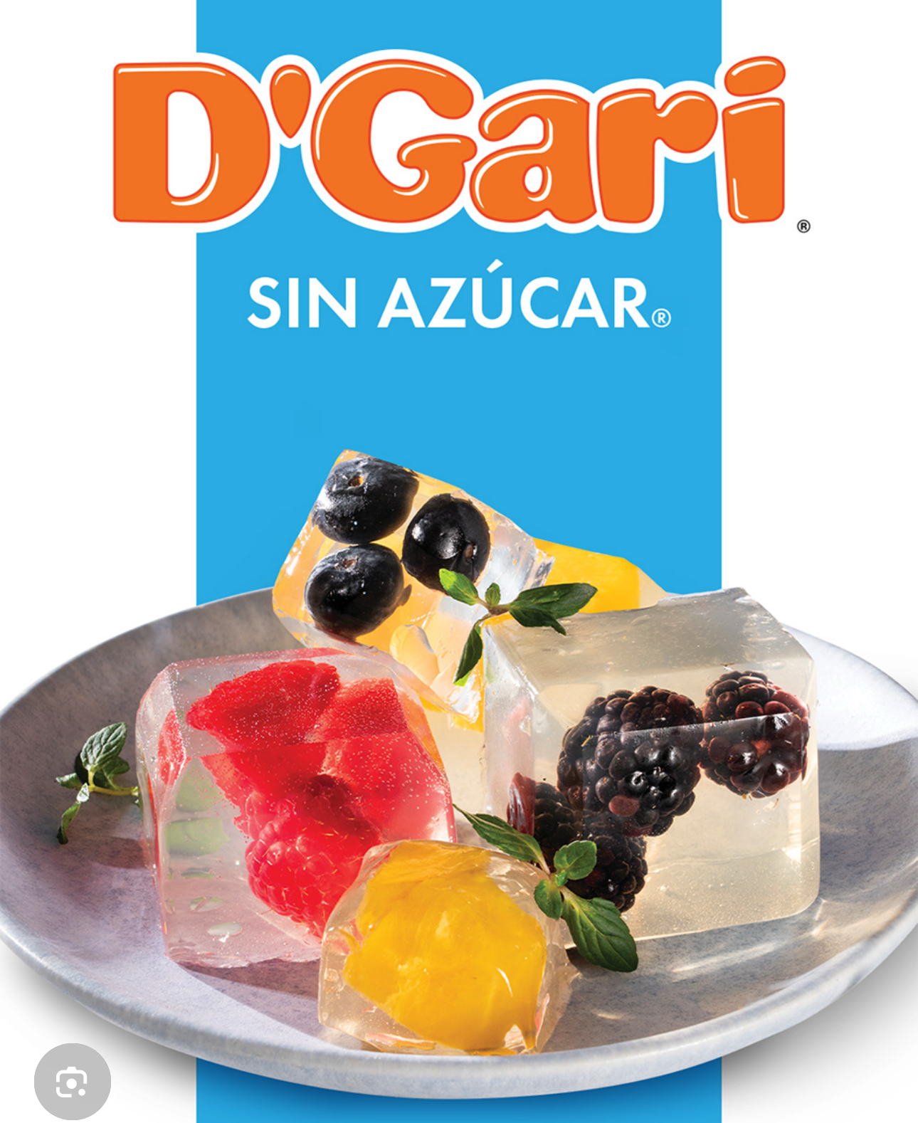 Gelatina Sin Azucar “D’Gari”