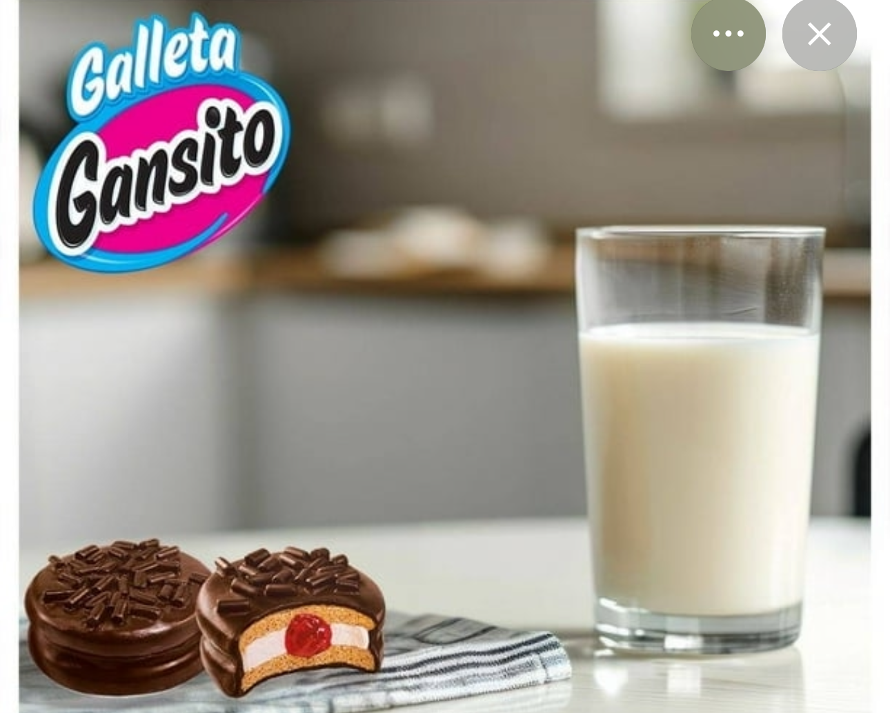 Galletas Gansito
