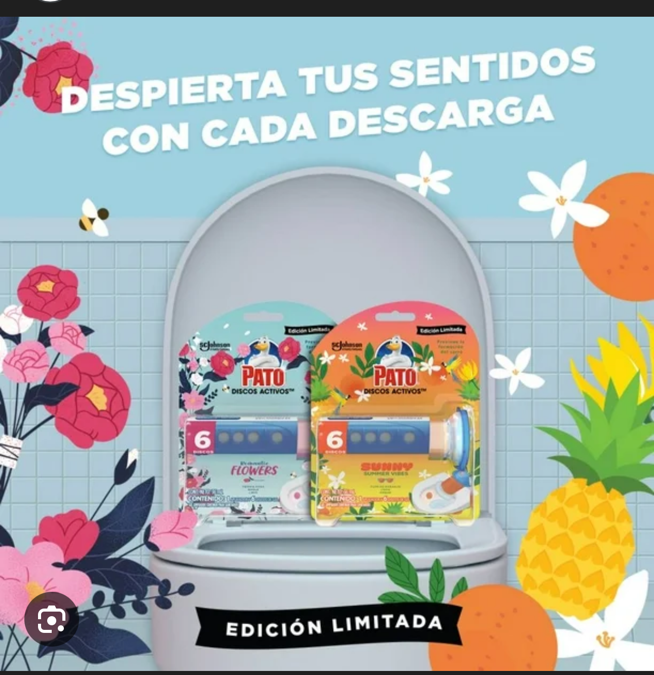 Pato Discos Activos 🚽