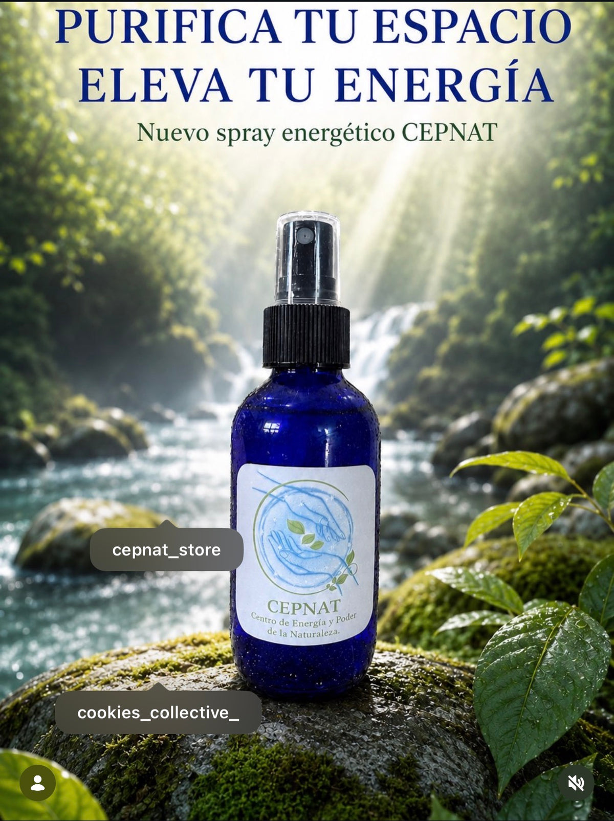 Centro De Energía Cepnat