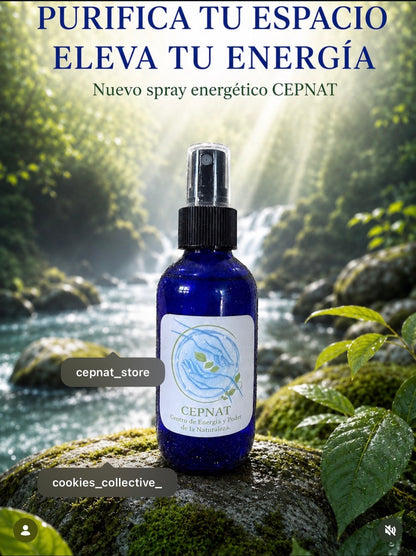 Centro De Energía Cepnat