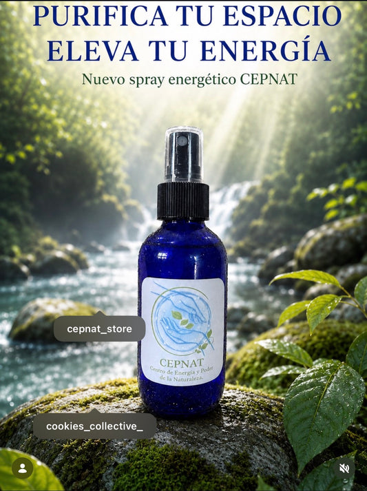 Centro De Energía Cepnat